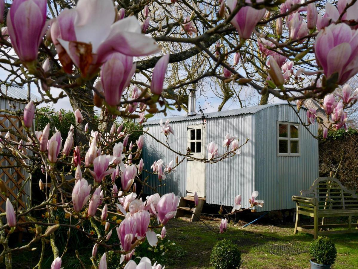 The Wayside Shepherd Hut Beaulieu Esterno foto