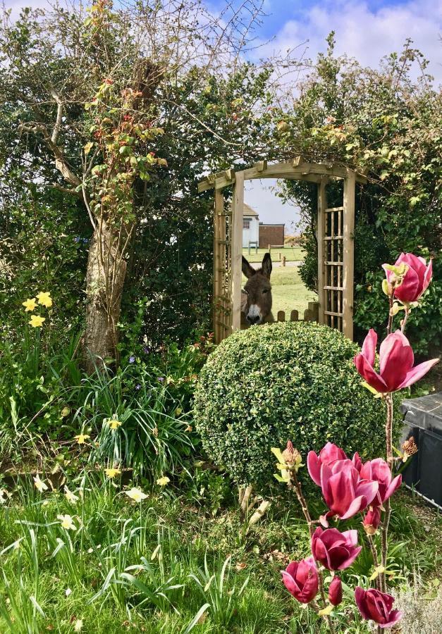 The Wayside Shepherd Hut Beaulieu Esterno foto