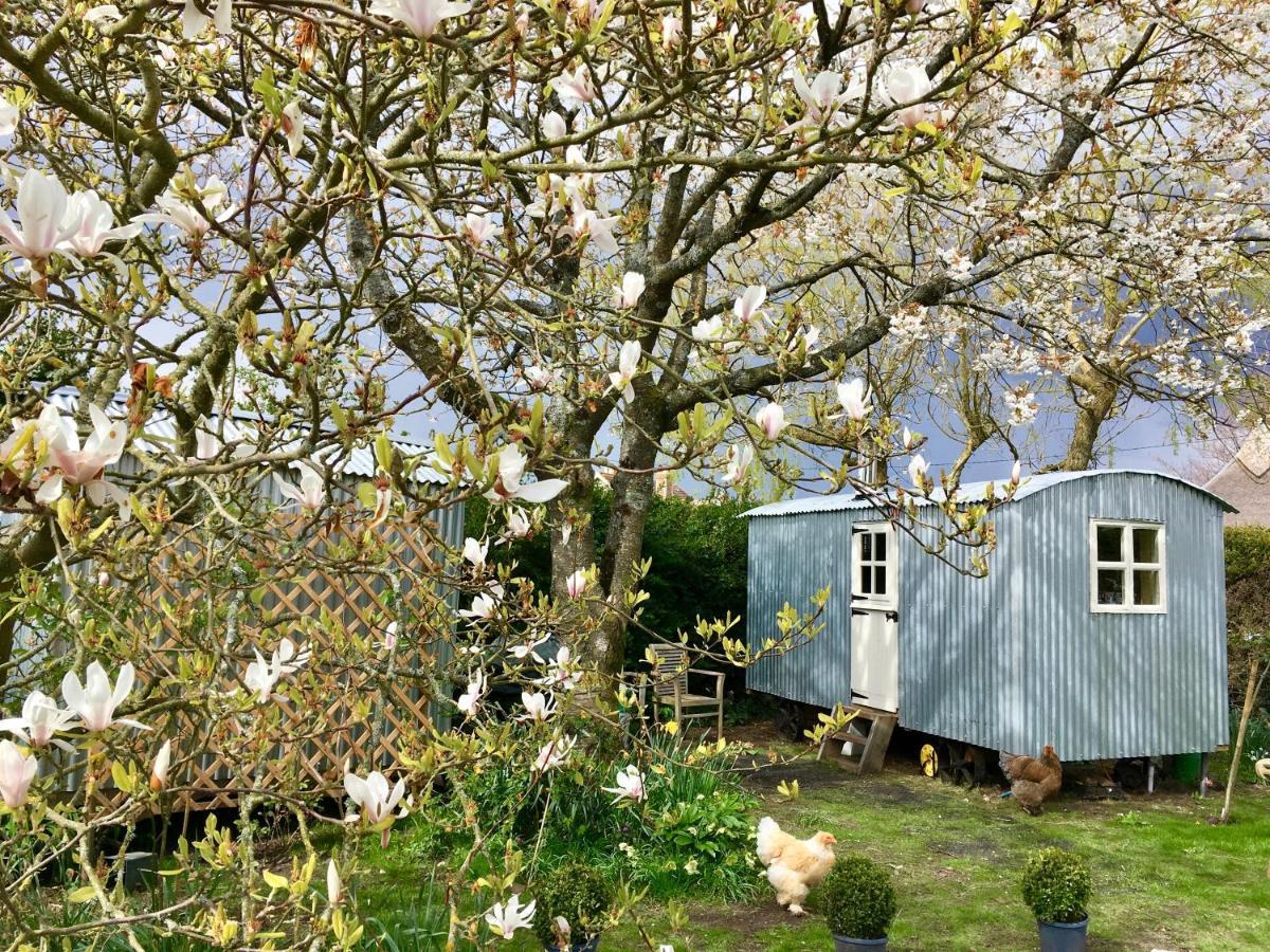The Wayside Shepherd Hut Beaulieu Esterno foto