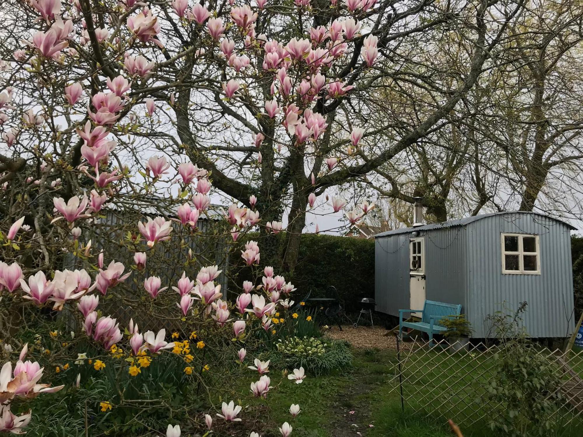 The Wayside Shepherd Hut Beaulieu Esterno foto