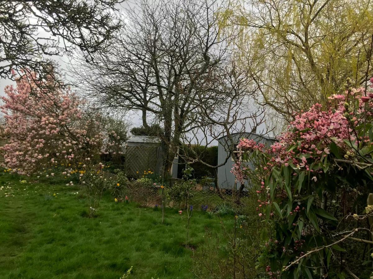 The Wayside Shepherd Hut Beaulieu Esterno foto