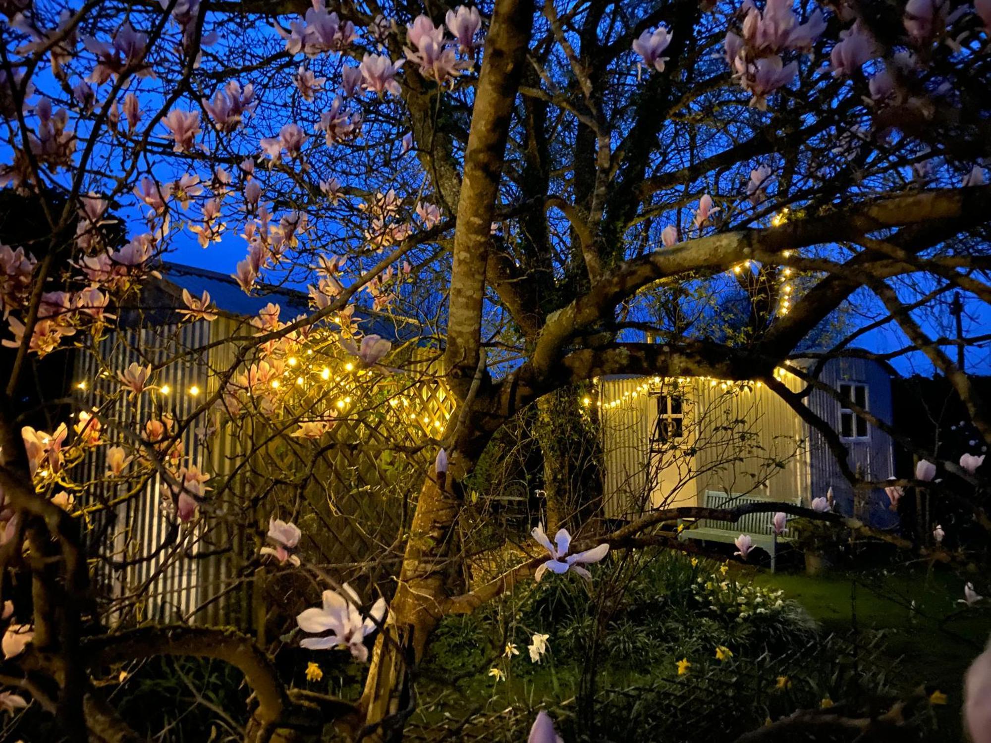 The Wayside Shepherd Hut Beaulieu Esterno foto